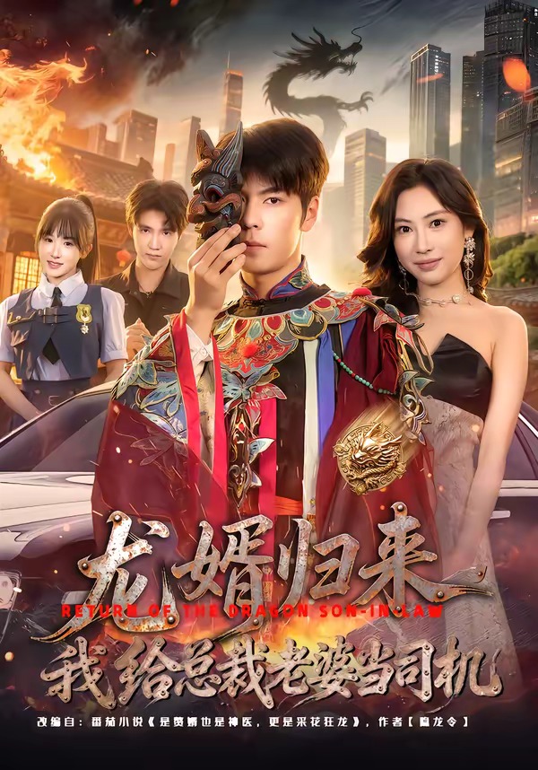 龙婿归来，我给总裁老婆当司机