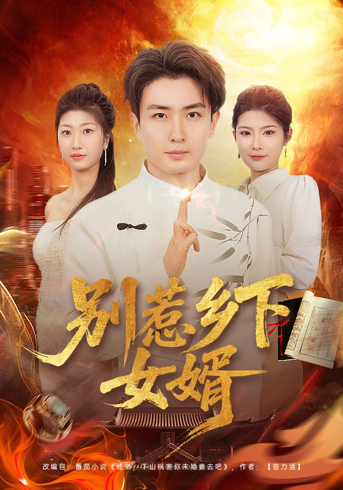 别惹乡下女婿