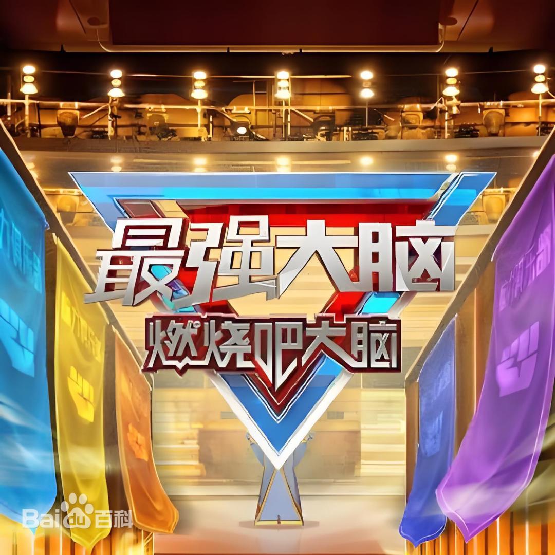 最强大脑第十三季