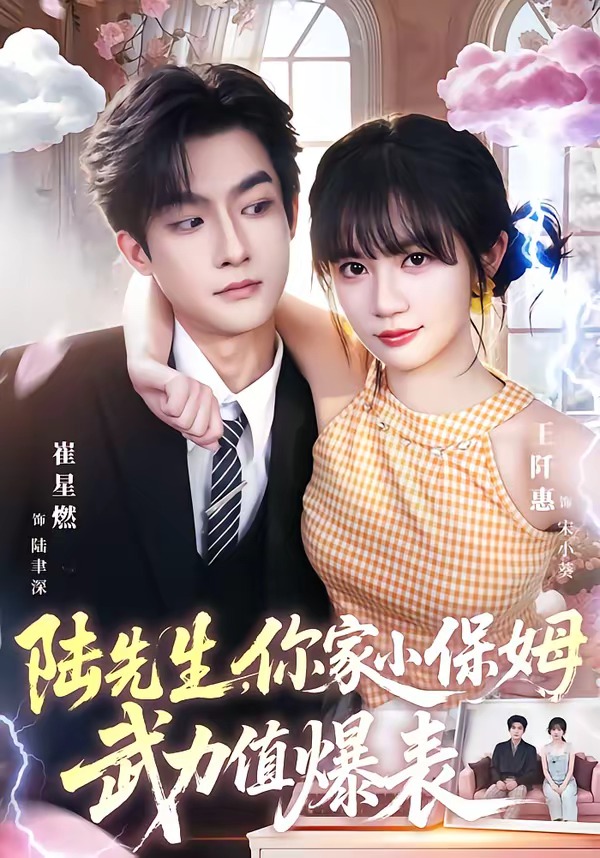 陆先生，你家小保姆武力值爆表