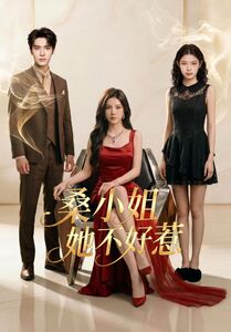 桑小姐她不好惹