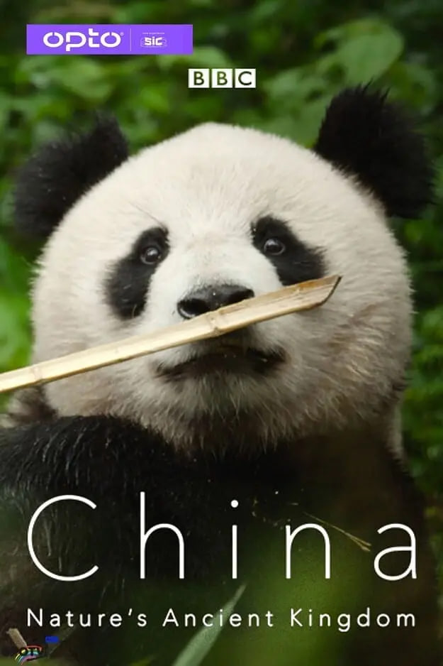 中国：大自然的古老王国第一季