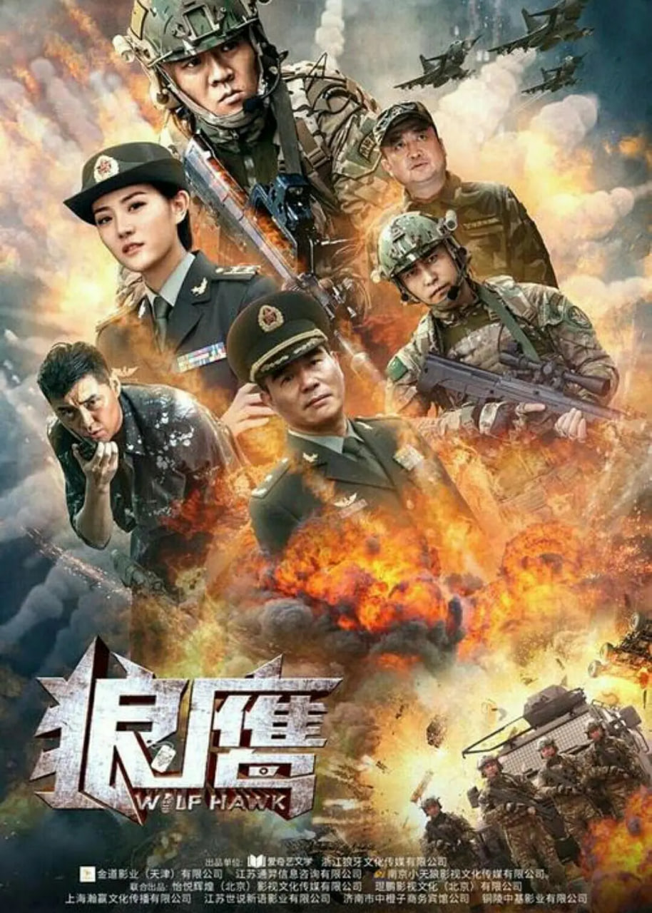 狼鹰2020