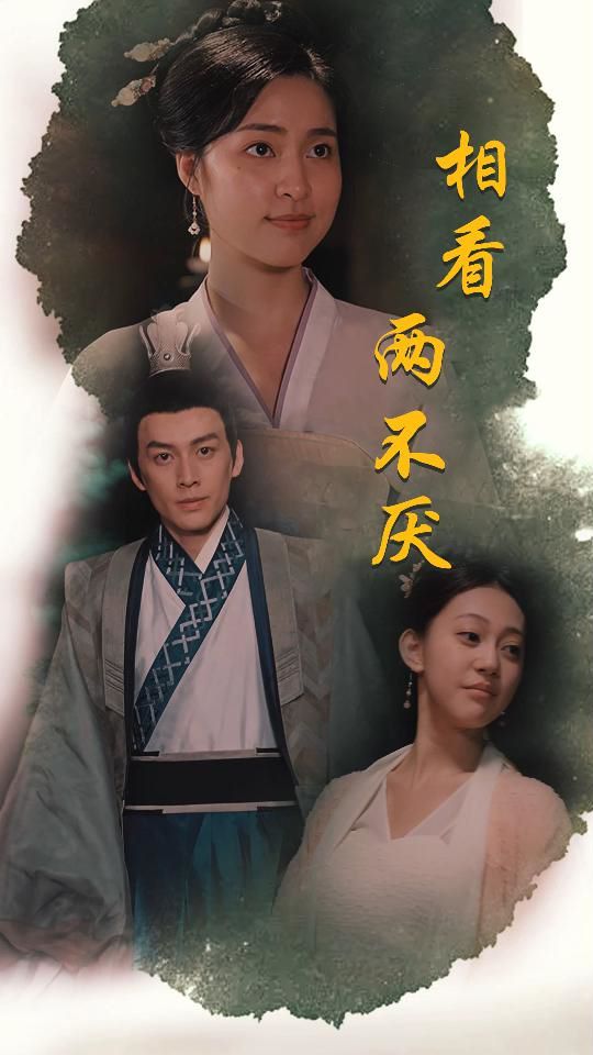 相看两不厌（这个王妃不好惹）