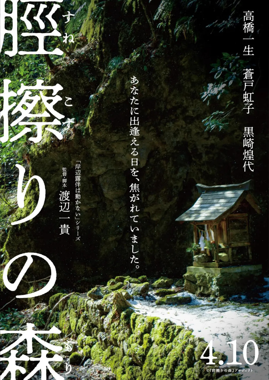 胫擦之森脛擦