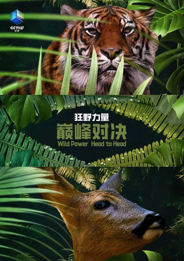 狂野的力量：巅峰对决第一季