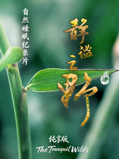 静谧之野纯享版