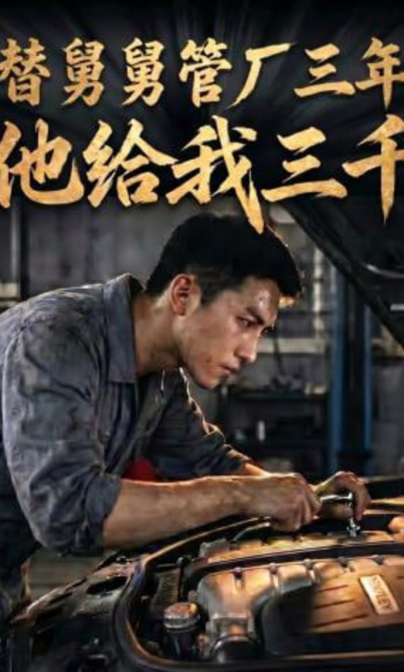 替舅舅管厂三年他给我三千