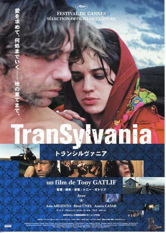 寻爱之旅2006