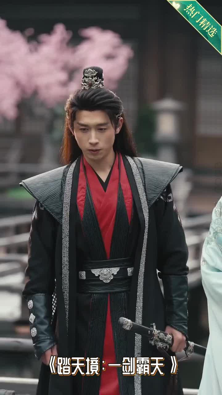 踏天境一剑霸天