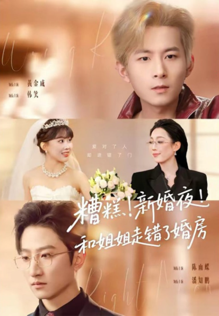 糟糕！新婚夜！和姐姐走错了婚房（糟糕新婚夜和姐姐走错了婚房）